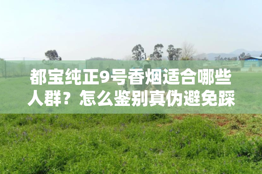 都宝纯正9号香烟适合哪些人群？怎么鉴别真伪避免踩坑？